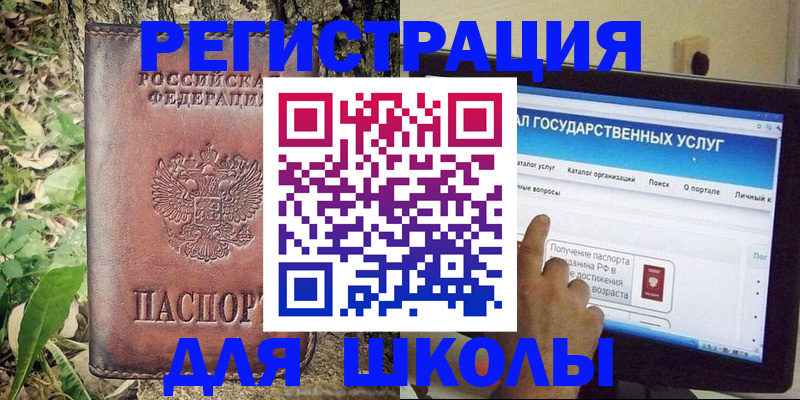 прописка для школы в Тосно